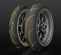 Dunlop D213 GP Pro 