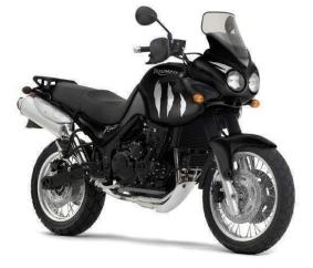 Triumph Tiger 955i